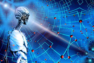 米兰体育官网登录入口-高校运动训练科学管理模式创新，科学的运动训练管理系统应包含哪些方面